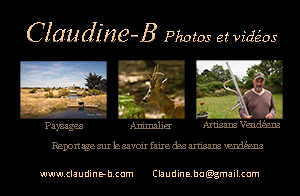 Claudine-B, photographe animalier et reportages photos et vidéos concernant les artisans vendéens