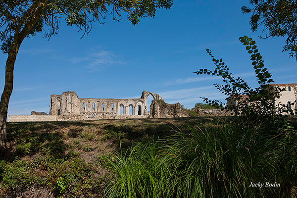 Abbaye de Maillezais vue du Marais