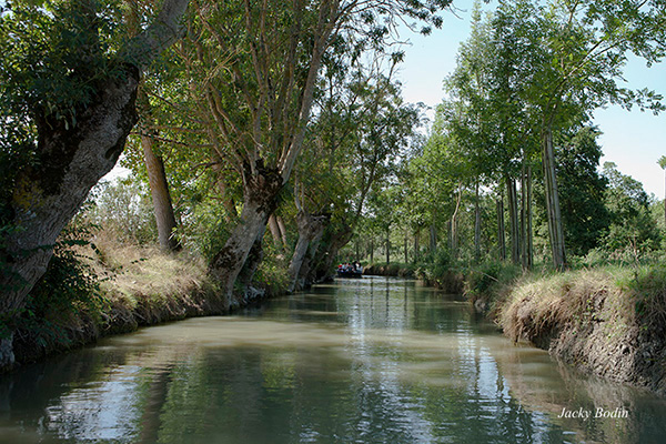 canal du Marais Poitevin