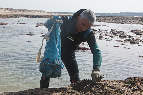 Pêches aux crabes à la main avec Philippe Michaud