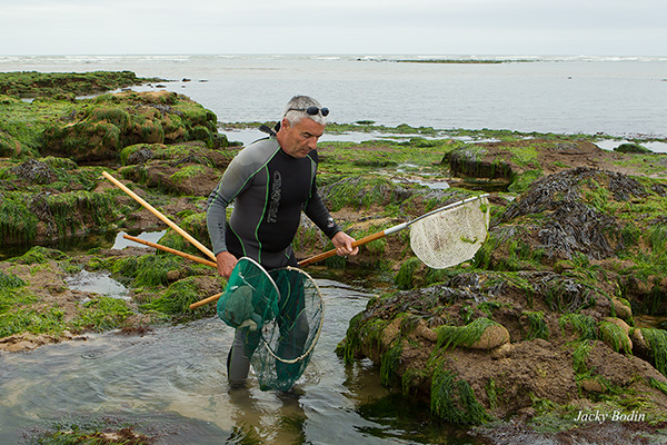 La pêch aux crevettes en Vendée avec Philippe Michaud