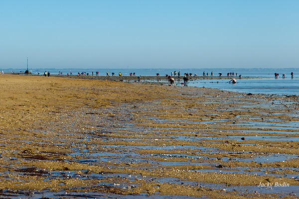 Côté gauche de la plage des Sableaux avec le même nombre de gens pêchant sur les parties découvertes.